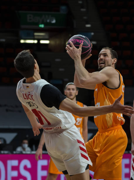 不仅提供了 不仅提供了